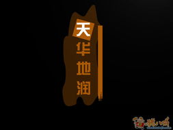 天华地润 打造卓越品牌形象的广告设计之道